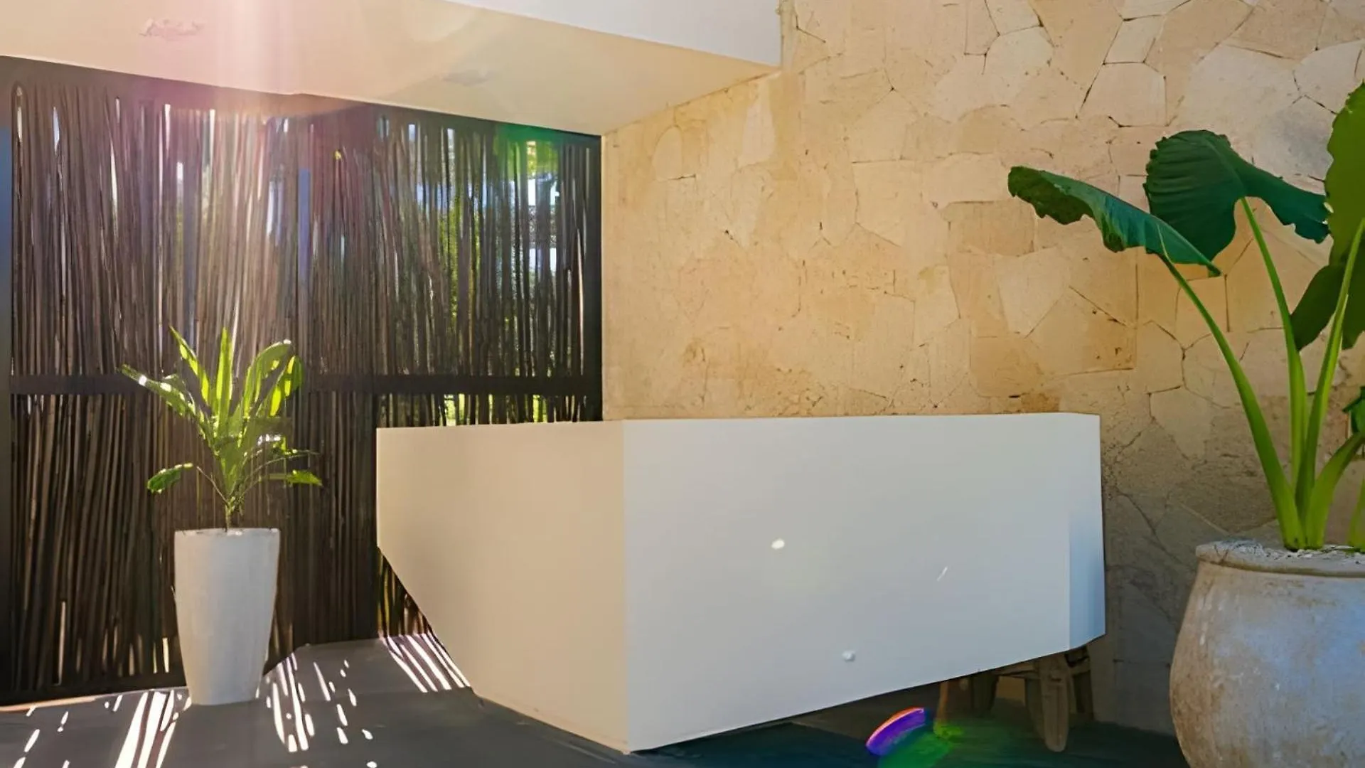 Penthouse With Private Pool Moots 303 Apartment Tulum